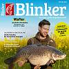 Blinker - bis 65 € Prämie / 81,40 € Kosten Abo & Prämie